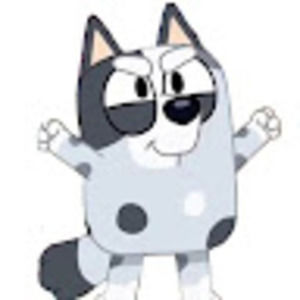 Meet your Posher, Muffin